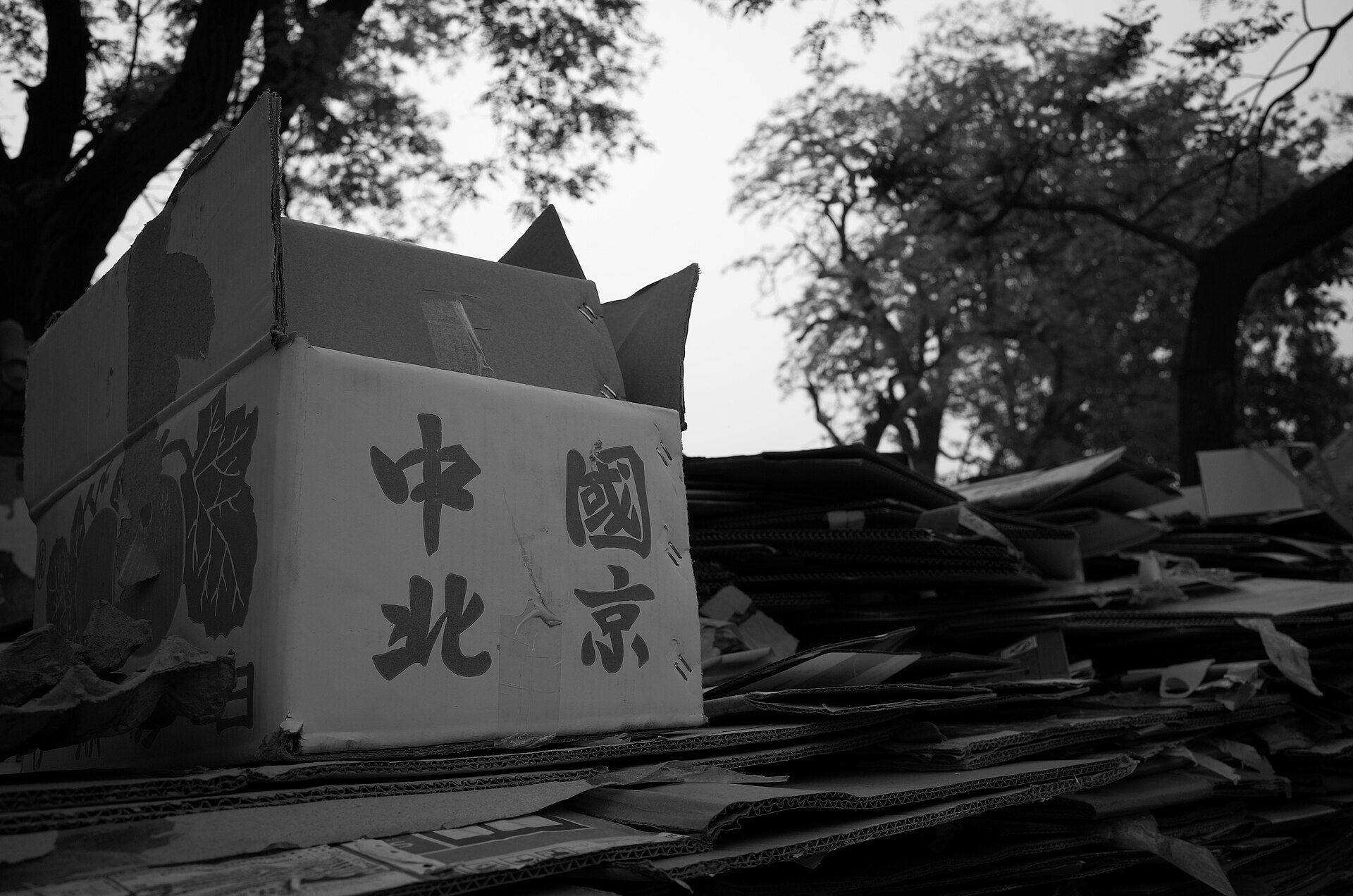 PPWR包装数据协作升温：出口供应商如何准备资料-灵动谷外贸资讯