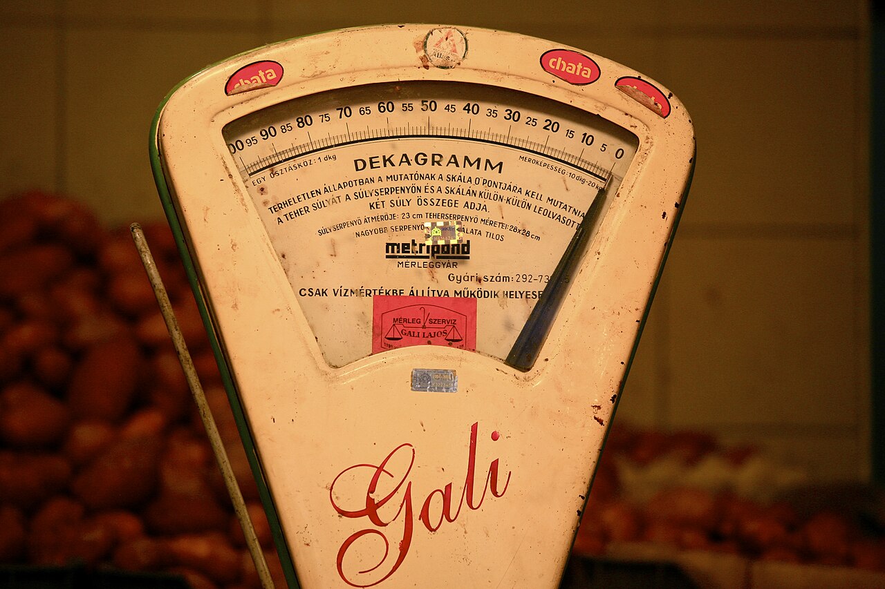 Gali机械秤实物，2011年