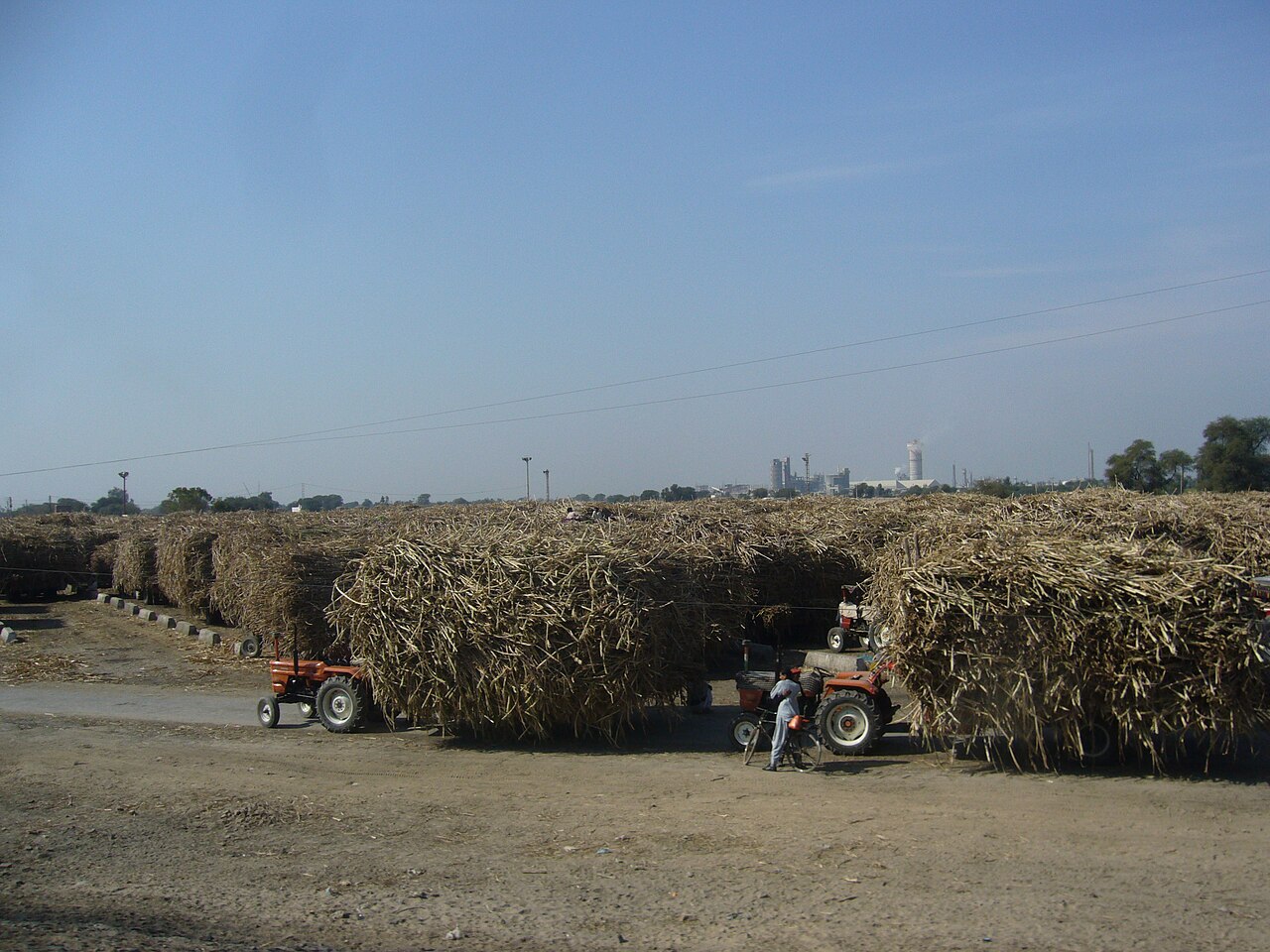 2011年巴基斯坦Bin Qasim附近糖厂待加工甘蔗堆存