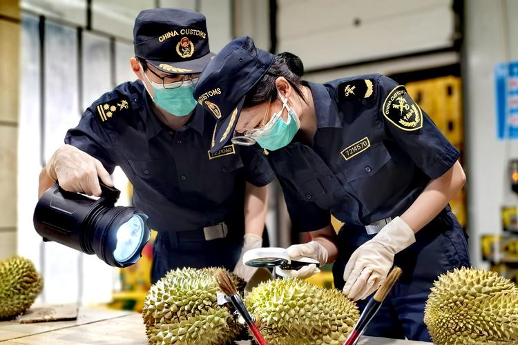 越南对华热轧板卷反规避作出初裁-灵动谷外贸资讯
