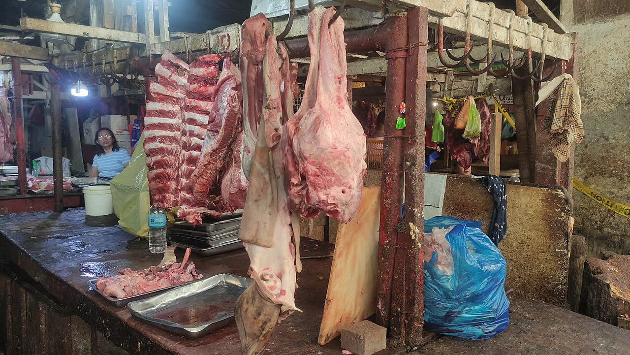 德国2025年肉及食用杂碎出口：同比增长9.95%，份额上升-灵动谷导航