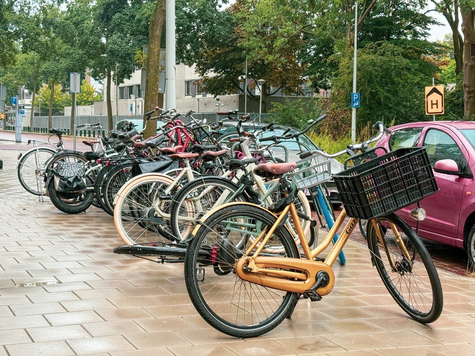 路边停放的自行车实物（真实资料图）