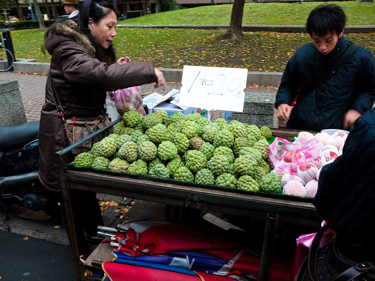 印度2025年食用水果及坚果出口：同比增长16.37%，份额上升-灵动谷外贸资讯 - 灵动谷