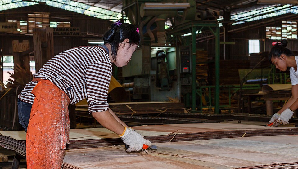 印度2025年木及木制品进口分析：增长1.15%，占总进口0.33%-灵动谷外贸资讯 - 灵动谷