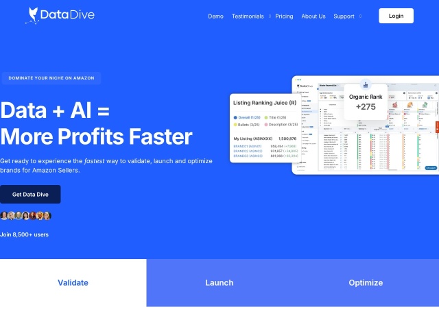 DataDive网站首页预览