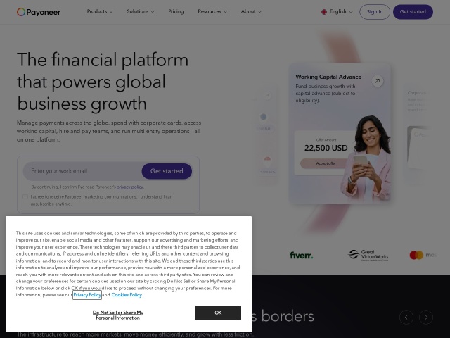 Payoneer Checkout网站首页预览