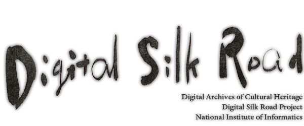 Digital Silk Road 数字丝绸之路
