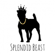 Splendid Beast 宠物肖像设计